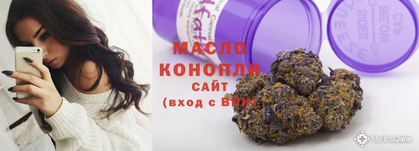 молекула духа Богородицк