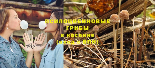 молекула духа Богородицк