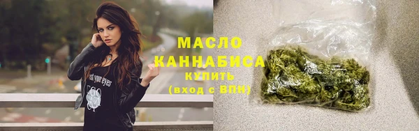 молекула духа Богородицк