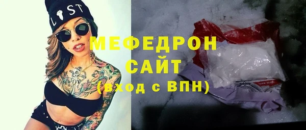 молекула духа Богородицк