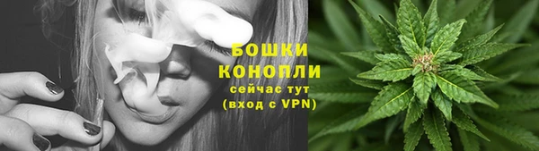 молекула духа Богородицк
