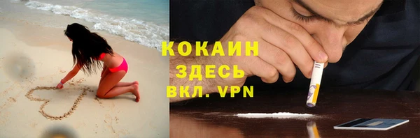 молекула духа Богородицк