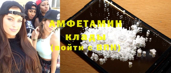 молекула духа Богородицк