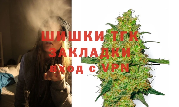 молекула духа Богородицк
