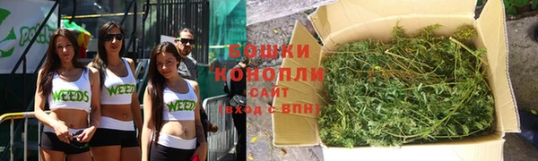 молекула духа Богородицк