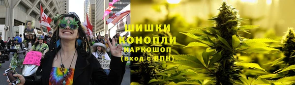 молекула духа Богородицк