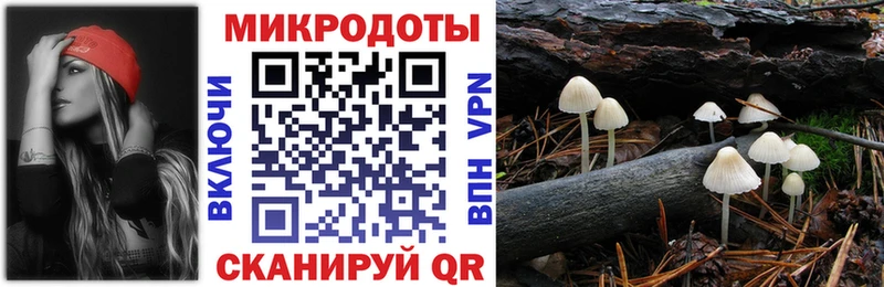 omg вход  Тверь  Галлюциногенные грибы Psilocybe 